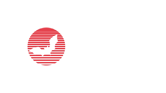 Wild Tokyo